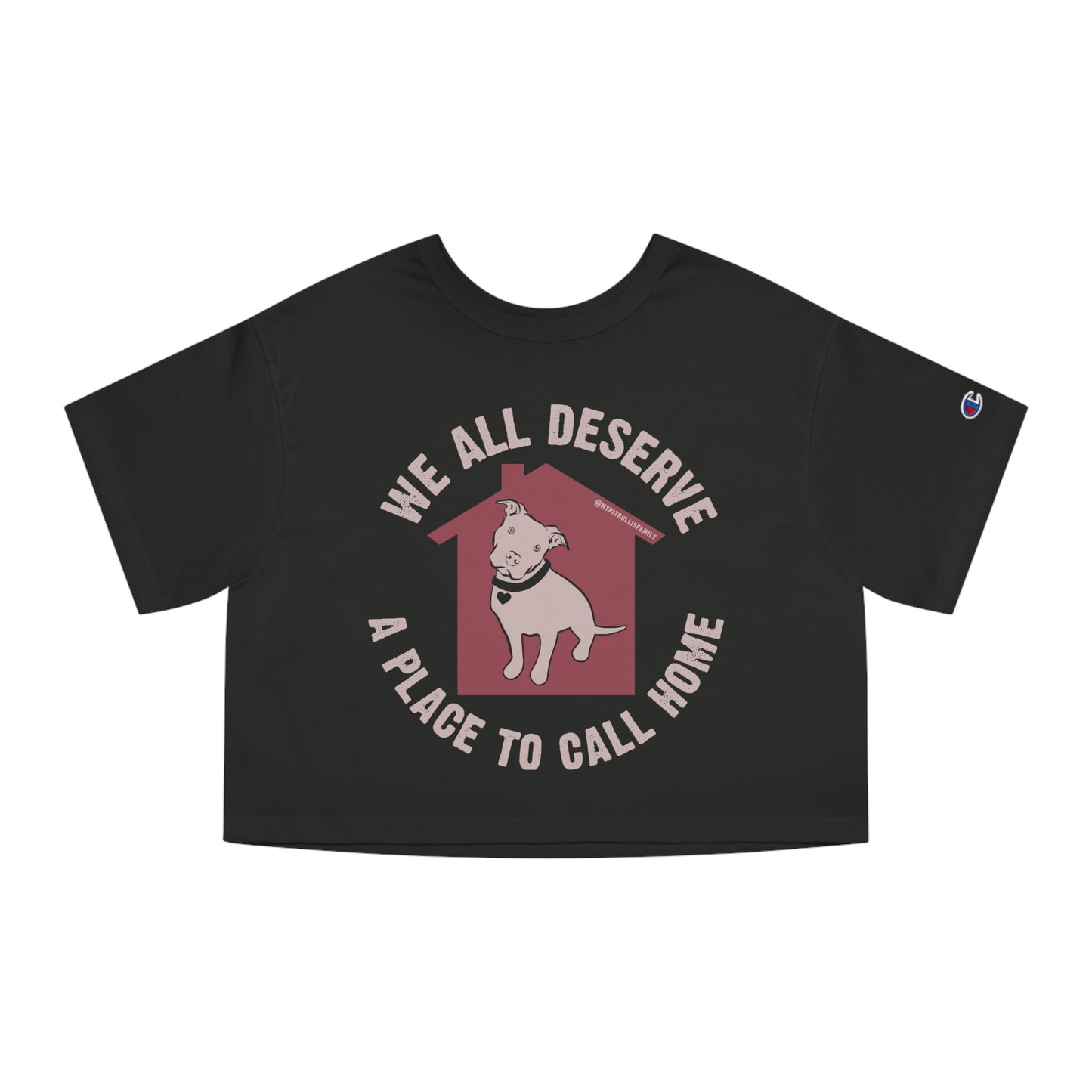 We All Deserve a Place to Call Home Champion Women's Heritage Cropped T-Shirt